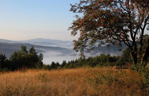 Ferienwohnung Hochwald - Foto 19