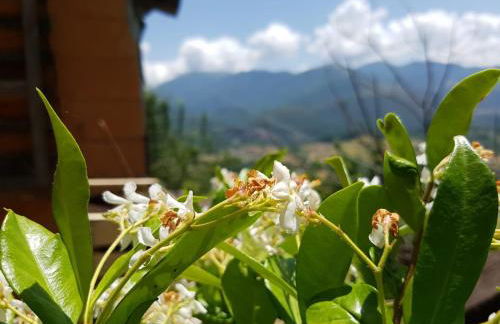 Casa Bellavista - Foto 20