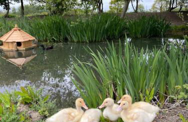 The Old Sty - Foto 17