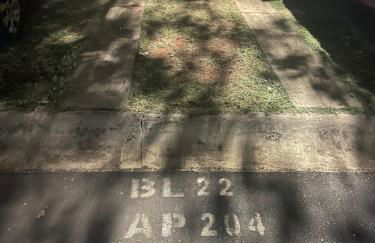 Udia Shopping, South Zone, Club Beach, Casteli, Palace - Foto 11