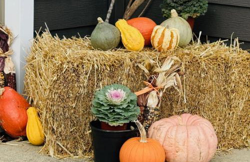 Luxurious 1875 centrally located Canton Akron home, expansive primary & sunset view - Foto 37