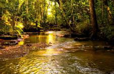 hotel fazenda ctk - Foto 15