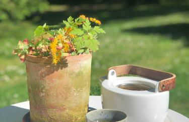 Les écuries du château - Foto 23