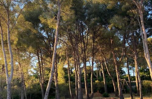 Joli mas bohème 60 m carré a seulement une minute à pied de la plage 4 personnes - Foto 10