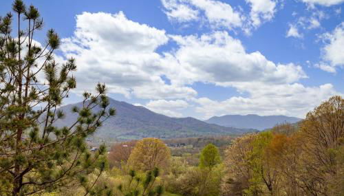 Barefoot Cabin 4 Bedroom Cabin by RedAwning - Foto 5