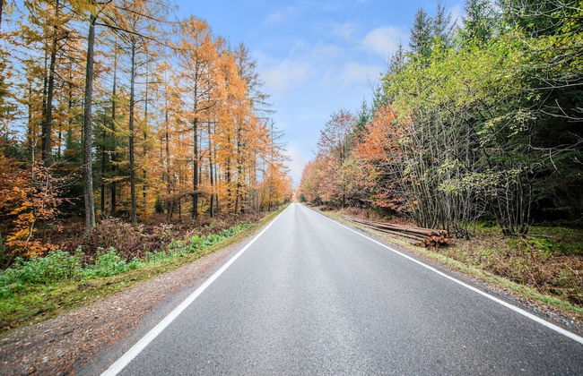 Cosy Holiday Home in Cherain near Forest - Photo 38