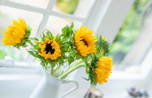 Teviot Cottage - Foto 7