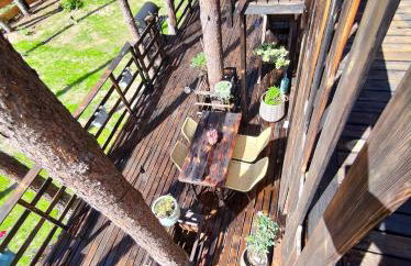 Domek lubiana180 SCANDI wśród drzew JACUZZI SAUNA KOMiNEK i TARAS na dachu jezioro Kaszuby Pieski tylko do 10kg za dodatkową opłatą - Foto 57