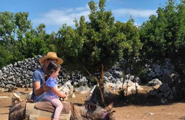 Villa Suzi - Family Farm Stay with Donkeys, Pool and Sea View near Rijeka - Photo 80