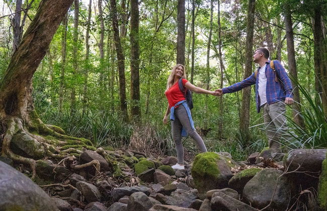 Carawirry Forest Escape - Foto 54