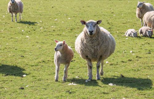 The Cottage - Foto 19