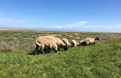 Villa Noroit - Foto 51