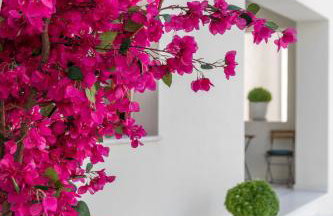 Harmony beach house - 100 steps from the sea - Foto 1