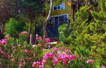 Sole Foca ( Ages 12+ ) - Foto 61