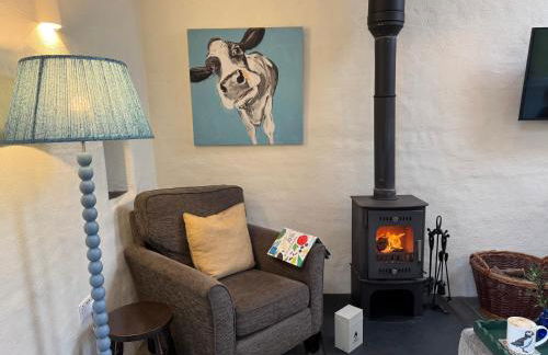 Preseli Hills Cottages - Luxury 5 star Cottages in Pembrokeshire - Foto 41