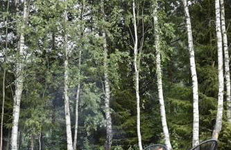 Żywiołowo - domki w stylu stodoły z placem zabaw i stawem - OGIEŃ - Foto 15