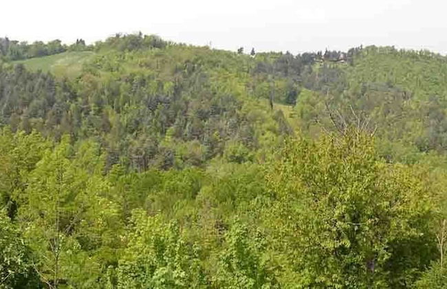 Colleverde Country House Beauty&Wellness - Foto 77