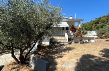 Villa Helga by the Sea - Photo 14