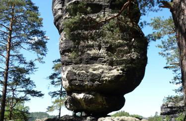 Ferienwohnung Büchsenhof - Foto 23