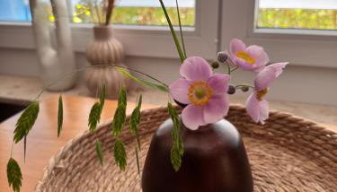 Am Flussgarten - Foto 5