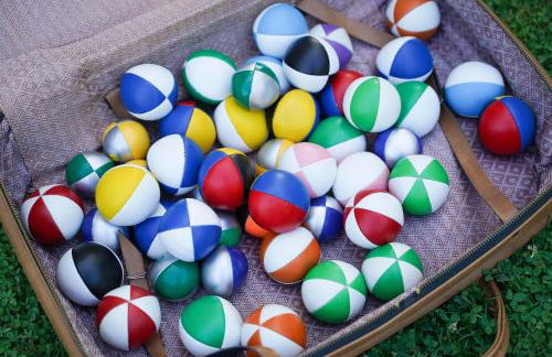 Delle Rose - Foto 30