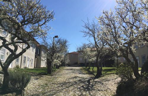 Quinta das Mineirinhas - Foto 14