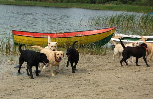 Domki drewniane alpejskie - Photo 7