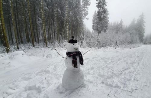 Ferienhaus Junge Ruhr - Foto 32