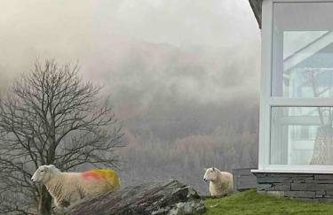 Cosy home in centre of Lake District National Park - Foto 13