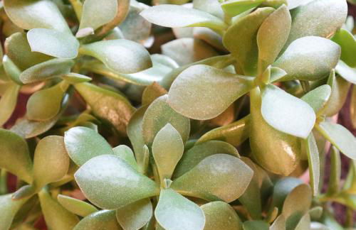 #staywild29 - Gemütliche Ferienwohnung im Allgäu - Foto 43