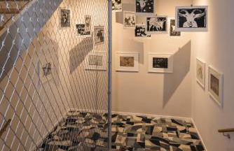 SEEZIEGE Uckermark - Ferienwohnungen am Carwitzer See - Foto 67