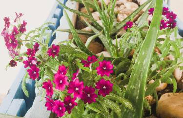 Athina K Rooms - Foto 4