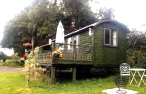 Idyllic Shepherds Hut glorious views to South Downs 'Perch' - Foto 5