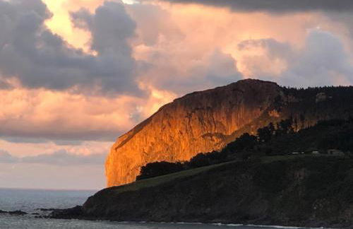 APARTAMENTOS URDAIBAI 4 - Photo 5