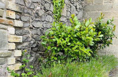 4-Bed Seaside Dream House - Sleeps 8 & Parking - Foto 34