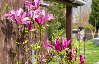 Haus 6 Pers mit Garten 15 min zur Messe Düsseldorf - Foto 8