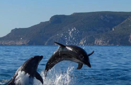 Maison Grise - Foto 32