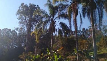 Sítio é Benção em Igaratá - Foto 5