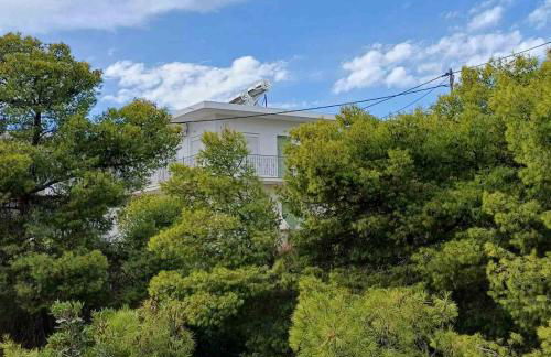 Kalimera Aegina - Foto 17