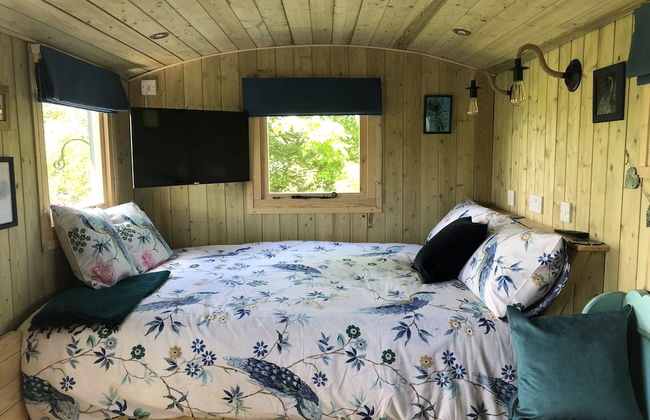The Peacock Shepherds Hut at Hafoty Boeth - Foto 2