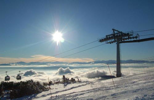 Unterpfaffstall-Hof - Foto 46