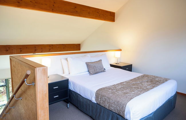 Punga Grove - Foto 15