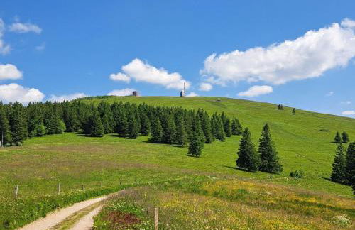 Apartment Lufs Loft für 6 Pers by Interhome - Foto 15