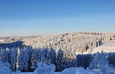 Haus Schneider - Photo 36