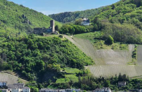 Ferienwohnung Goldrausch - Foto 50