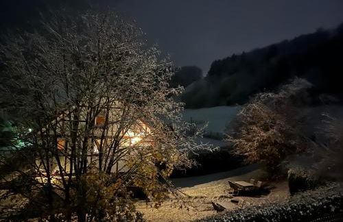 Ferienwohnung Sonnentraum - Appartement 5 Willingen - Foto 42