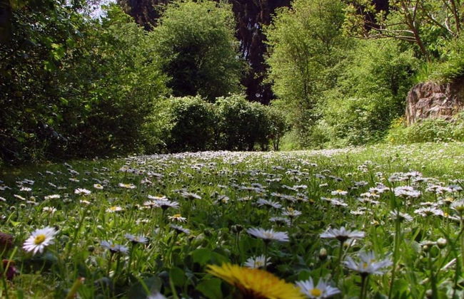 Hastiere Meuse Valley View - Foto 40