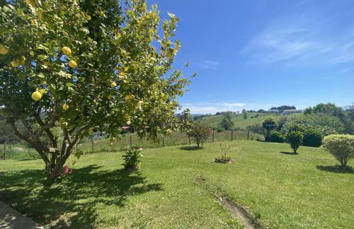 Finca Robejones VV-511-AS - Foto 21