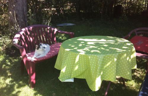 Neueröffnung, 2 wunderschöne Ferienwohnungen im Grünen - Foto 10