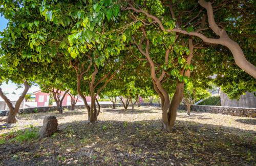Dipladenia Garden Country Resort - Foto 65
